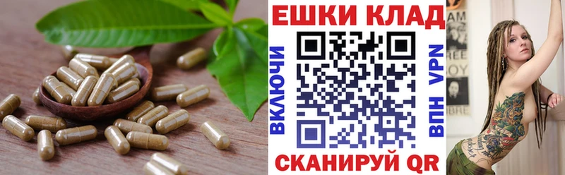 Экстази бентли  ссылка на мегу ТОР  Фролово  купить наркотики цена 