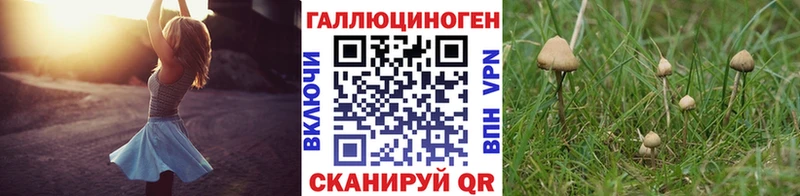 Галлюциногенные грибы прущие грибы  Фролово 